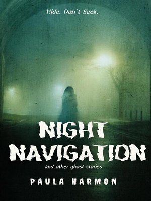 cover image of Night Navigation